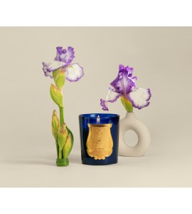 Ourika- Powdery Iris (Belles Matières) 