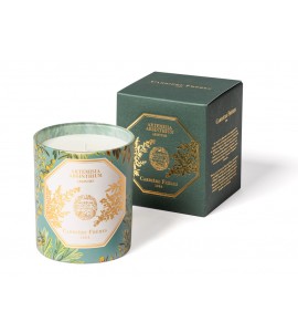 <<Carrière Frères X The Museum Collection >> Absinthe 185g Candle