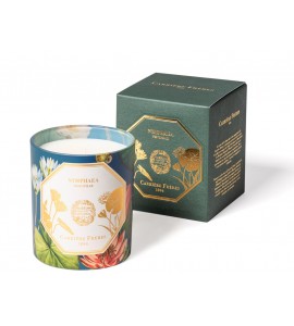 <<Carrière Frères X The Museum Collection >> Waterlily 185g Candle