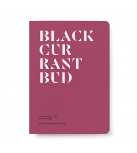 NEZ - Blackcurrant bud in Perfumery